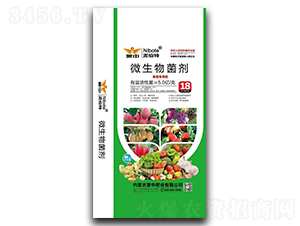 ���ߌ���΢�������-����