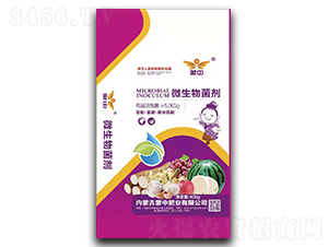 40kg΢�������-����