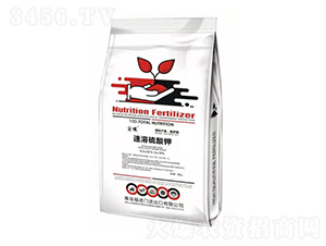 ���������-�t������