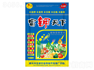 �������-�t������