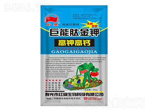 �����Ľ��-���S-�t������