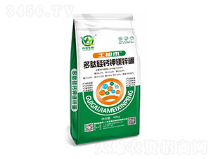 ���Ĺ��}��V�\��-��������