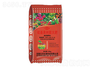 �����������(f��)�����20-5-5-��Ӱٝ�