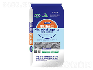微生物菌劑-地國菌團-新超農(nóng)業(yè)