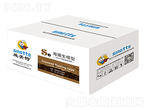 ����������S1-ʩ����