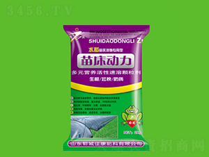 �紲����-�ѿ�