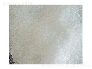 �������@21-53-0-����˹