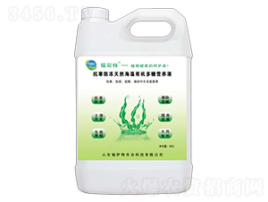 �����ЙC���ǠI�B(y��ng)Һ-������-������