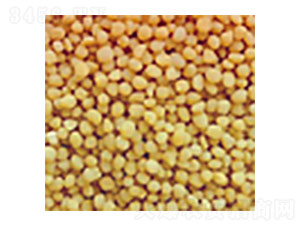 ������@�w��-ِ���طʘI(y��)