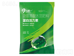 ���׻�����-�ż�һ