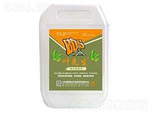 ΢�������-�~����-�ᵹɽ