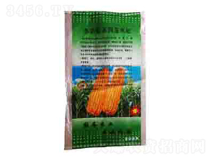 �����-��������