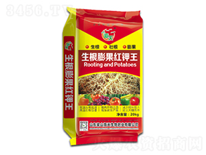 ��������t���-��������