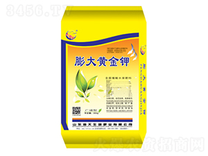 ����S���-��������