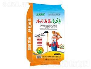 ���������-��������