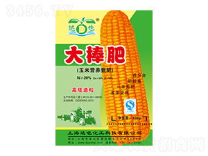玉米營(yíng)養(yǎng)氮肥-大棒肥-達(dá)也化工