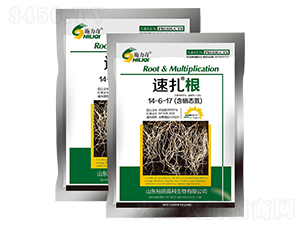 ������-ԣ��߿�����