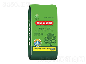 ���\�F�V��-������