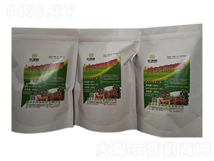 ���܌����ЙC(j��)��-�S�Ɉ@