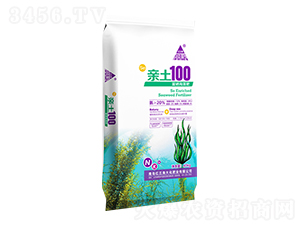 ���������-�t���Ǵ�