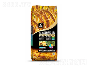 40kg�����-�t���Ǵ�