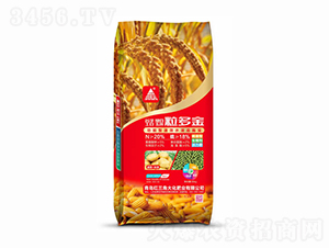 �����-�t���Ǵ�