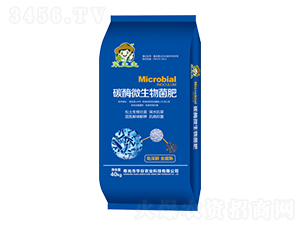 ̼ø΢�������-�������ʘI(y��)