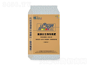 20�|�������������ЙC(j��)��-�����к�