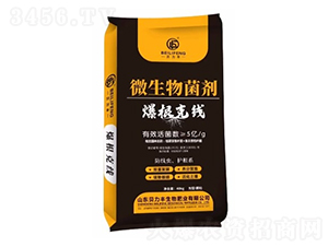 �����˾�΢�������-ؐ���S