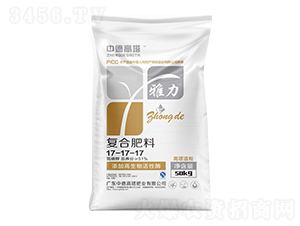 ��(f��)�Ϸ���17-17-17-����-�е¸���