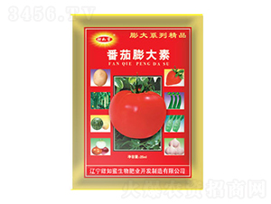 ���������(����-������