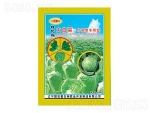 ��ײ��~�������-������