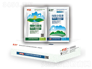 ��(x��)�������أ��У�-��(zh��n)܇(ch��) 