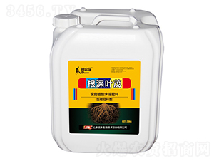 �����~ï-��(zh��n)܇