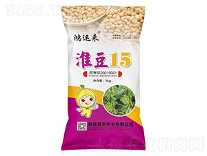 淮豆15-大豆種子-晨禾種業(yè)