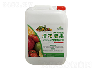 SM-019�Ϲ��������������Ƅ�-�ΰ�������