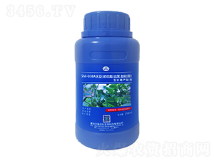 SM-038A�󶹳����Y(ji��)�v���������L(zh��ng)���a(ch��n)�Ƅ���250ml��-�ΰ�������