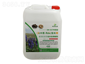 SM-037��ˎ����ľ����^���L�����L�����Ƅ�-�ΰ�������