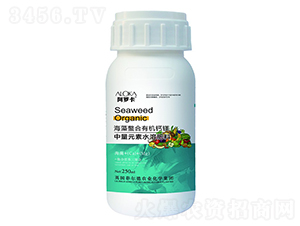 ���������ЙC(j��)�}�V-�����_-�Ɲ�(r��n)�r(n��ng)��