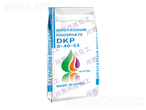 ������⛣�DKP��0-40-53-�����d�_(d��)����