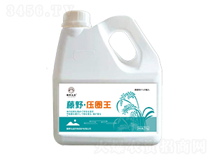 藤野壓圈王（水稻早熟鼓粒增產(chǎn)）-藤野化成