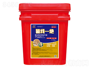 ����һ�^-�����S