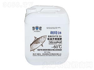 �͜��_(k��i)��̼��-����28-Ӣ����