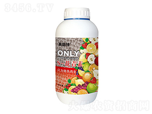 S-������-Ӣ����