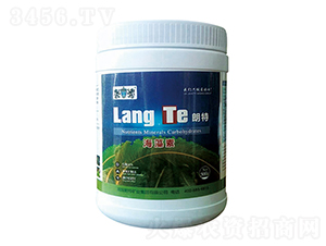 ������-Ӣ����