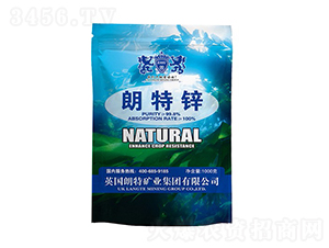 �����\-Ӣ����