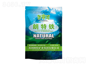 �����F-Ӣ����