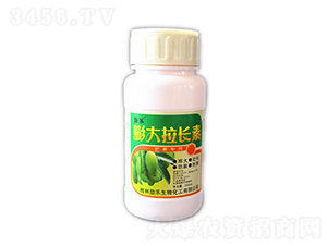 200ml�Ř�������L��-���_