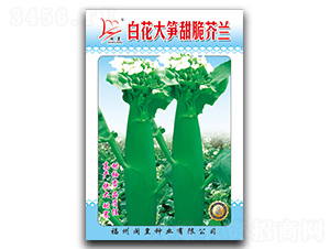 �׻���S�����m-���m�N��-�}�ʷN�I(y��)