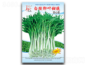 �׹����~�����Ĳ�-���Ĳ˷N��-�}�ʷN�I(y��)